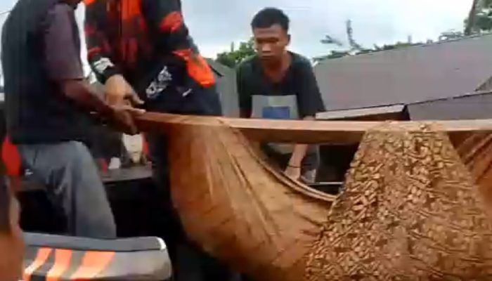 Pemuda Pancasila Evakuasi 5 Korban Meninggal di Bencana Alam Batang Toru: Bantu Salurkan Sembako hingga Selimut