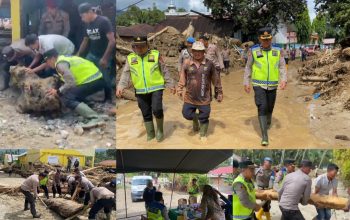 Kabag Ren Polres Tapsel, Kompol Rudi Siregar, Kapolsek Batang Angkola, AKP Trihardjanto, Kanit Reskrim, Ipda Ansor Harahap, serta personel kepolisian lainnya, dan warga, bahu-membahu melakukan pembersihan material sisa banjir