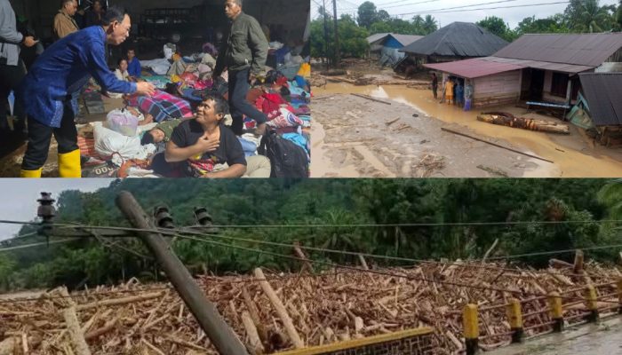 Penebangan Hutan Diduga Penyebab Bencana di Tapsel, Bupati Akui Sudah Sampaikan Keberatan ke Kemenhut