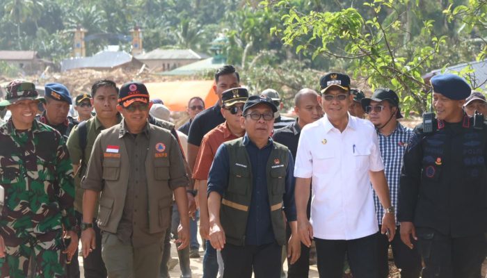 Penuhi Permintaan Bupati, BNPB akan Kirim 100 Chainsaw untuk Tapsel
