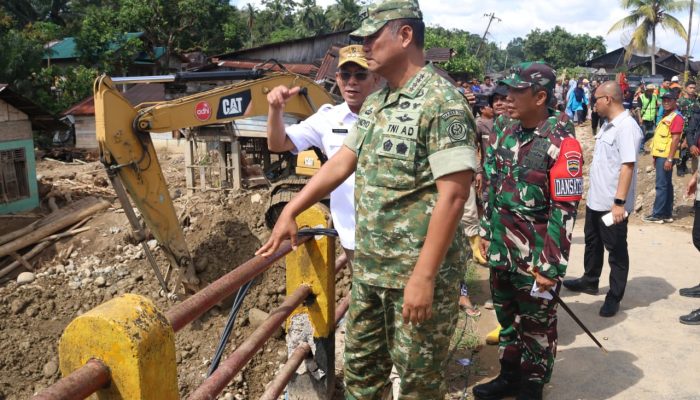 Didampingi Bupati, Wakil Panglima TNI Tinjau Lokasi Bencana di Tapsel