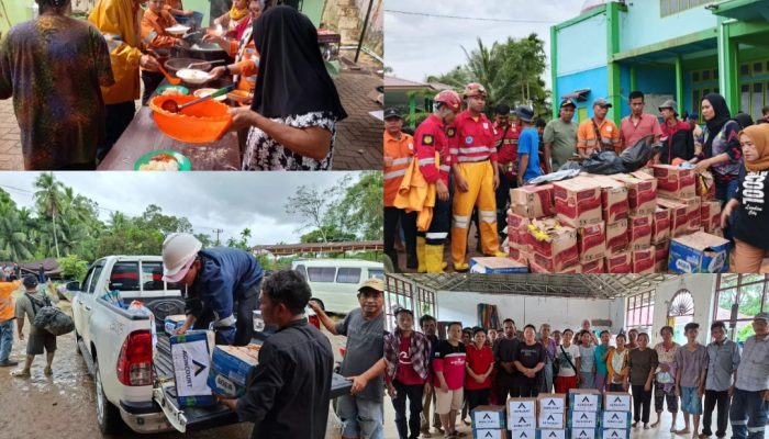 PTAR: Tidak Ditemukan Material Kayu di DAS Aek Pahu yang Jadi Area Operasi Tambang